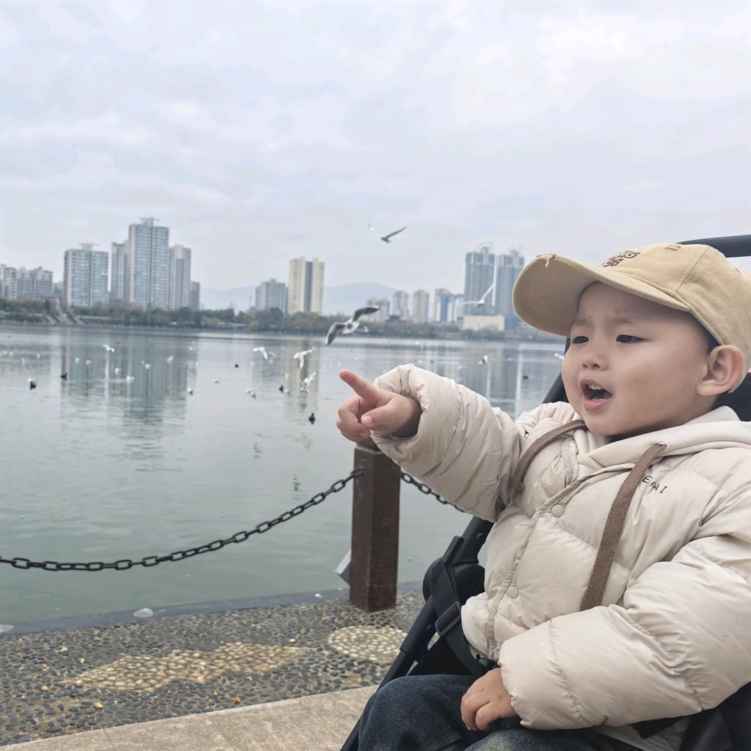 小咪饿了