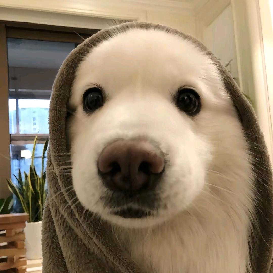 何佳阳