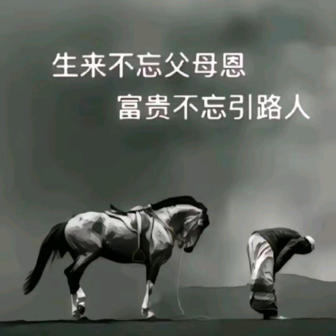 用户153523008814