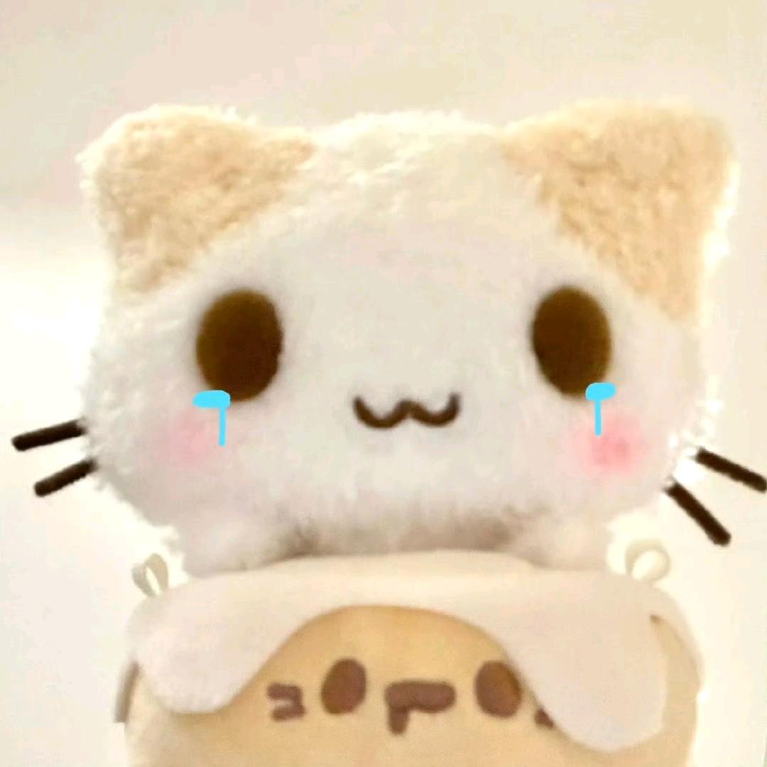 Bccccccccc_
