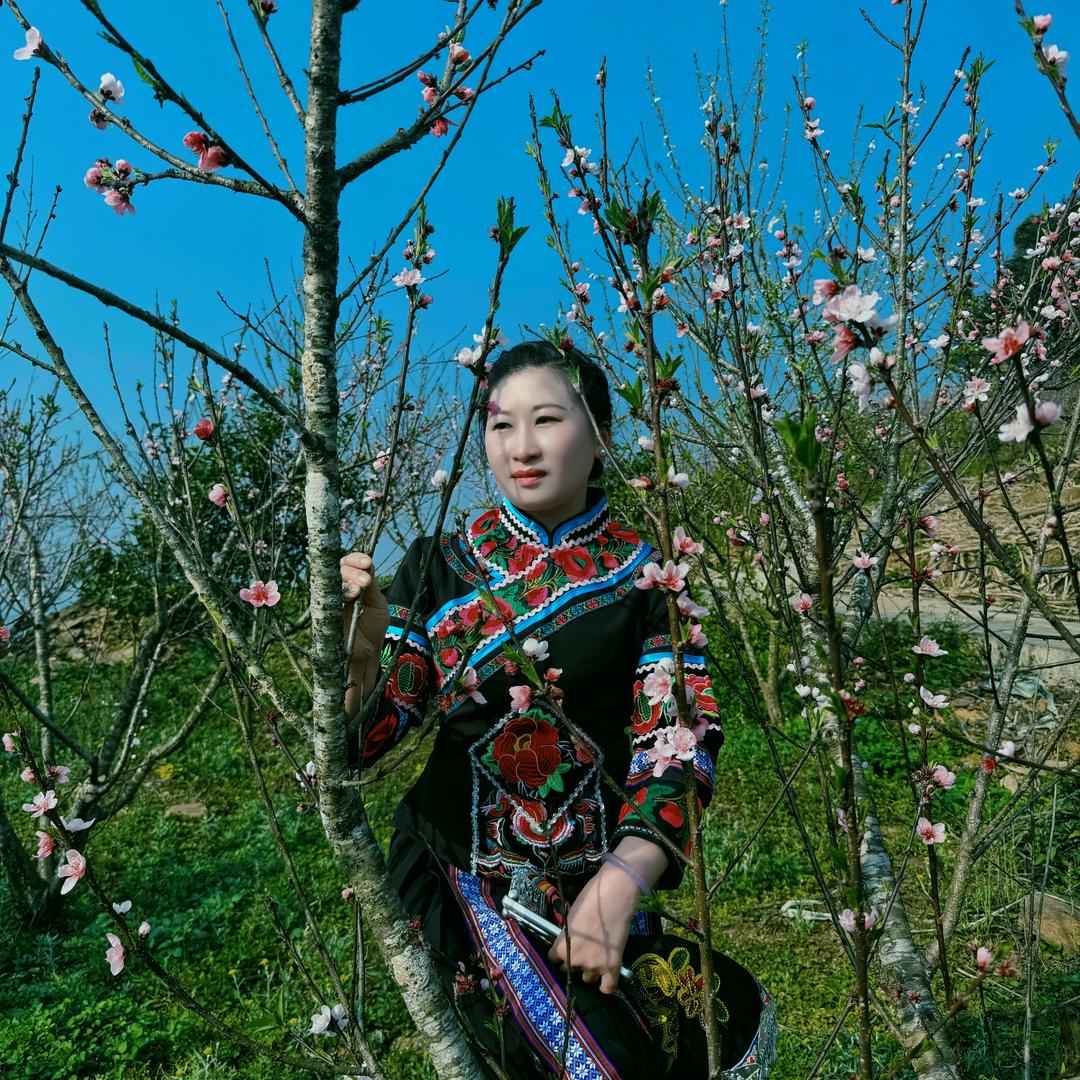 云河🦋之珠