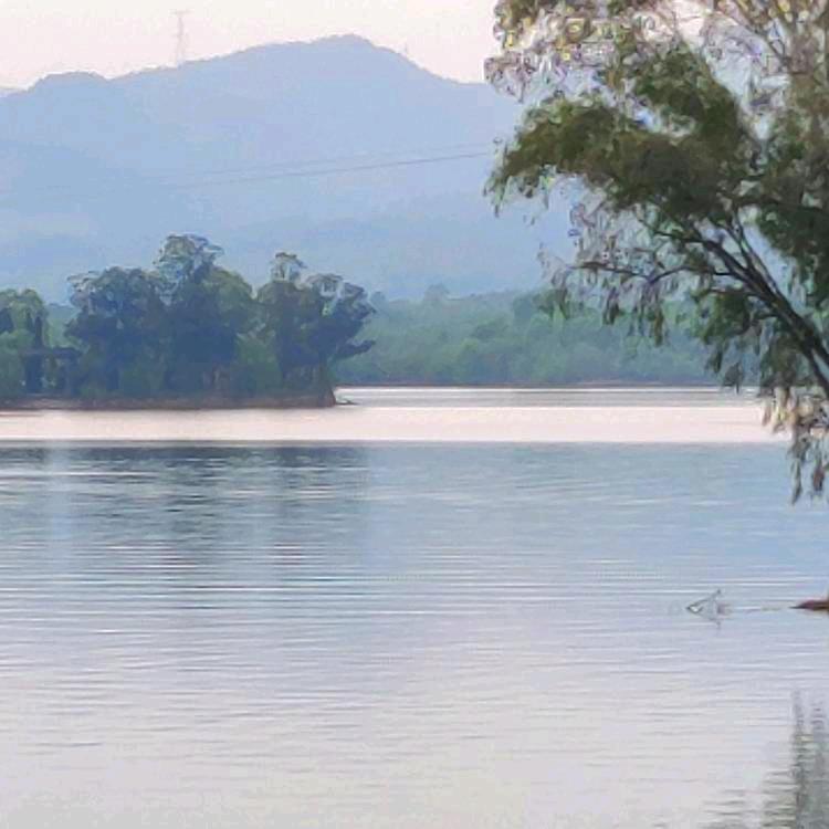 龙爷