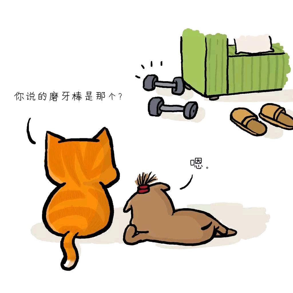 零下不结冰