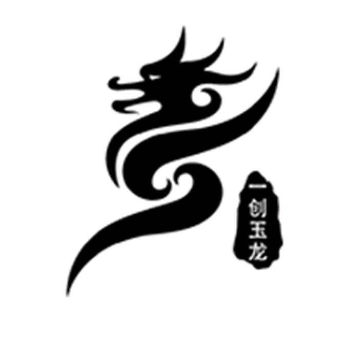 玉龙数码专营店