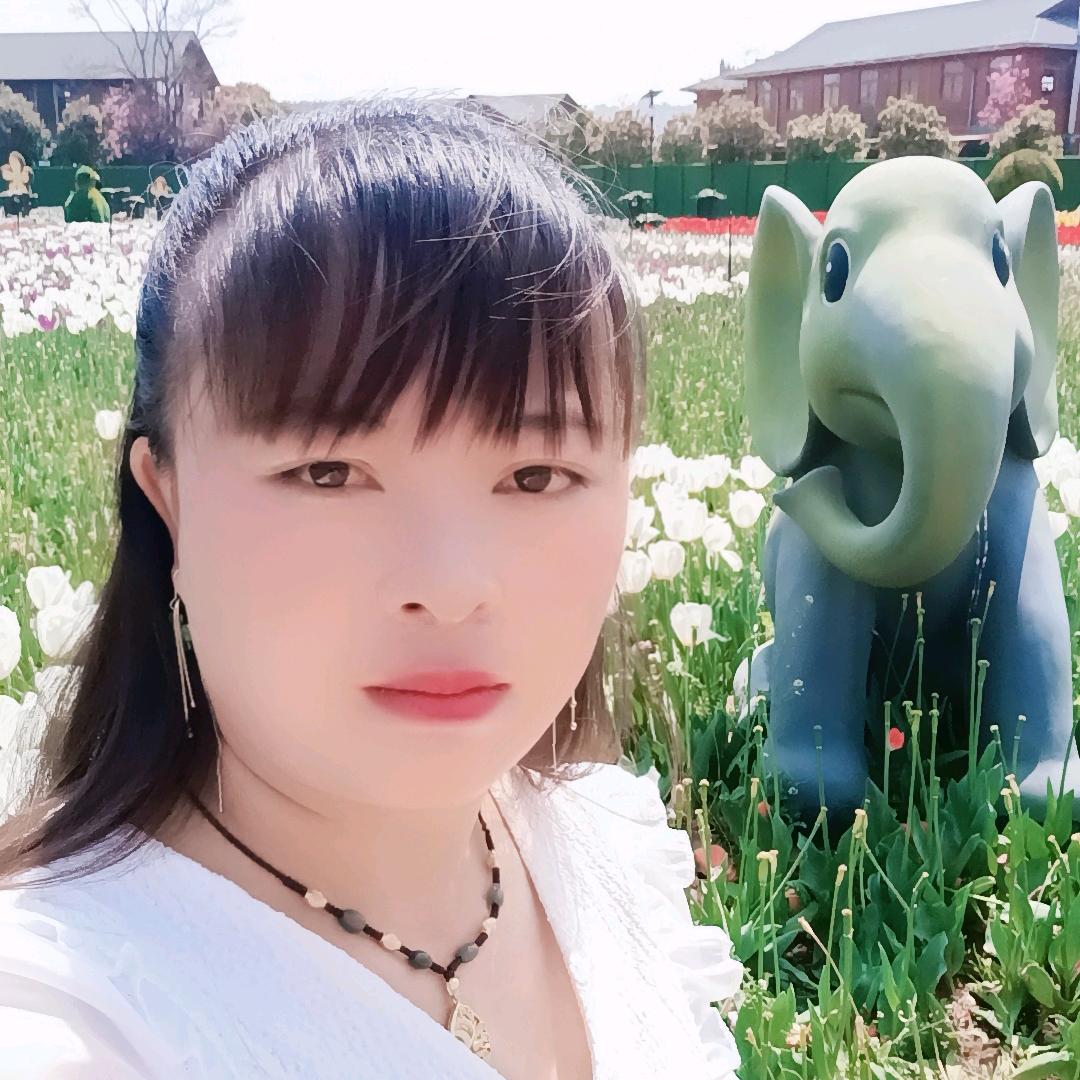 李情情是我
