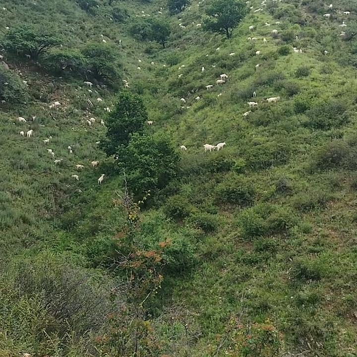 密码
