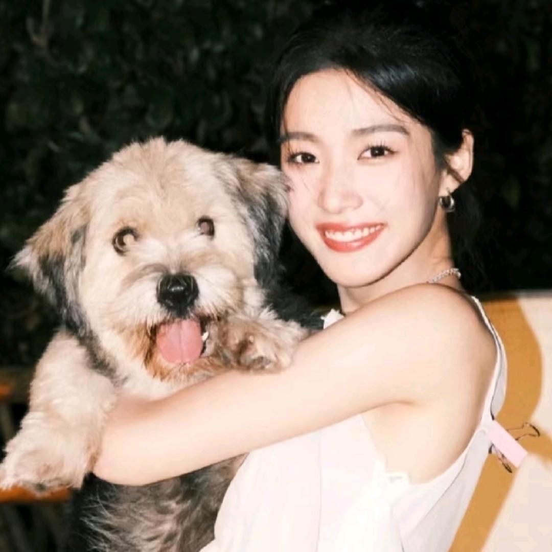 卷毛就就🐱