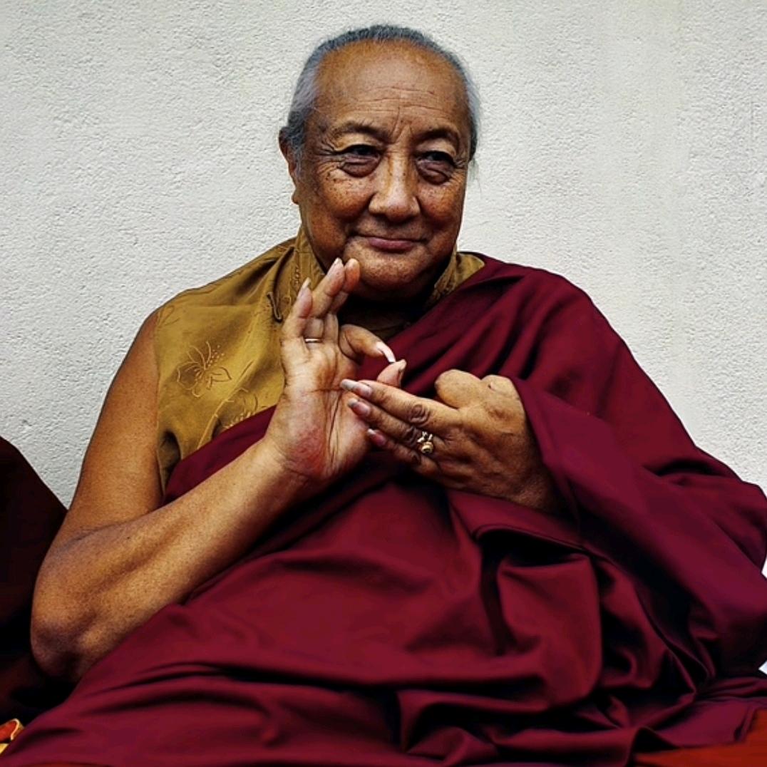 经✨幡的祝福💫