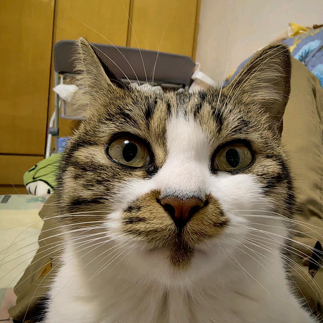 孙大大