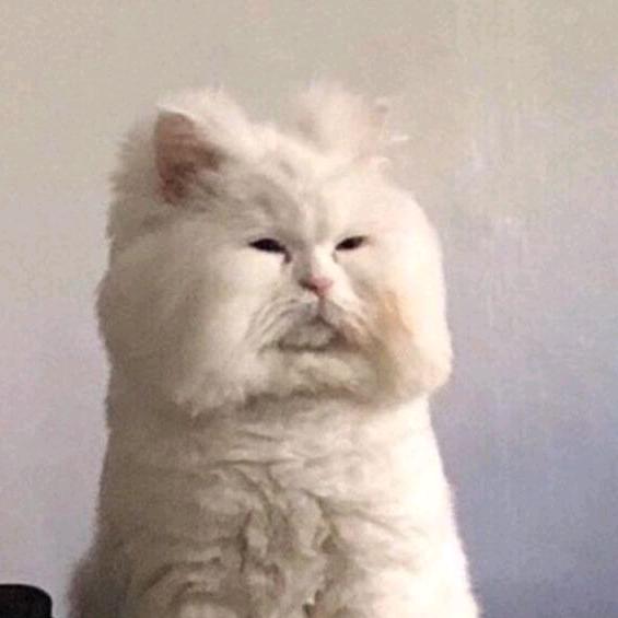 超级无敌暗黑暴龙战神大帝