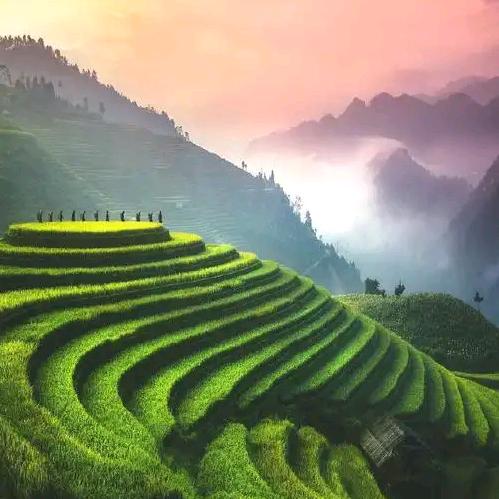 ۶⁝⁞⁝⁞ʕ❃꒰阡۶⁝⁞⁝⁞ʕ❃