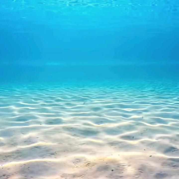 🌈玲芝
