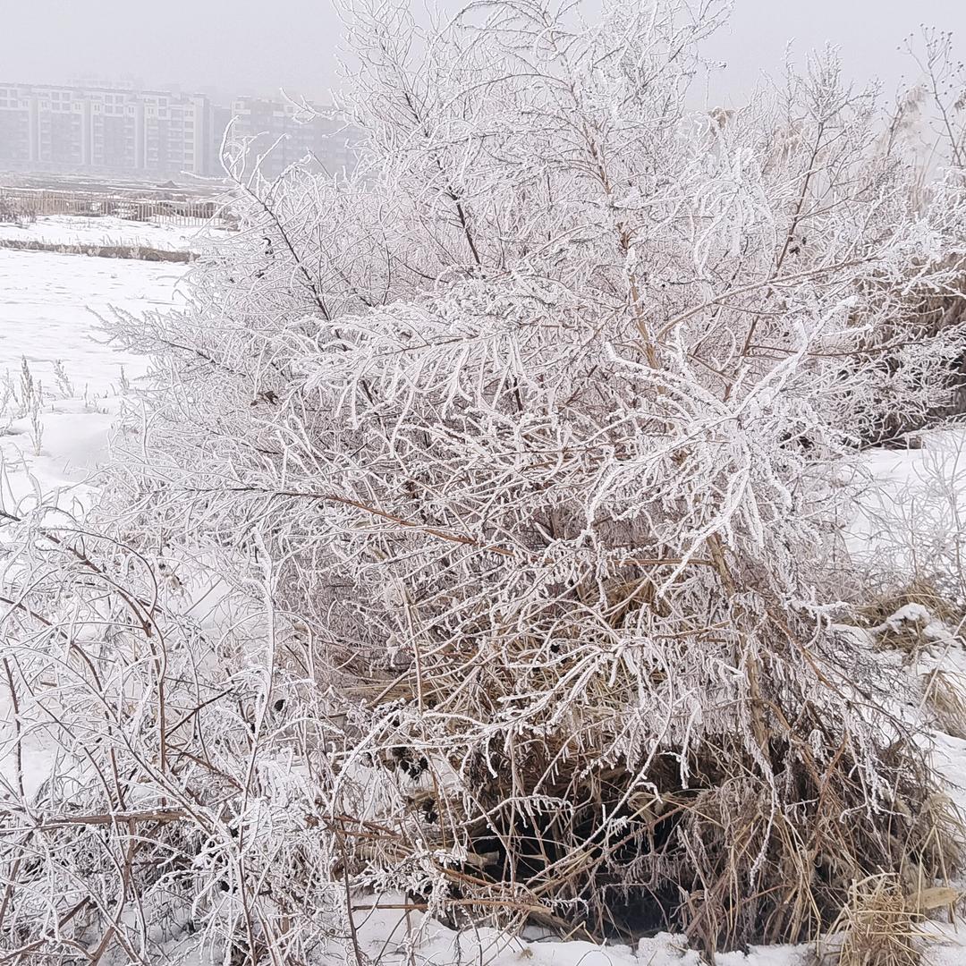 满天飞_群天飞舞