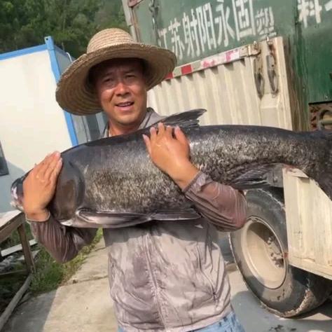 里塘铺水库休闲钓场