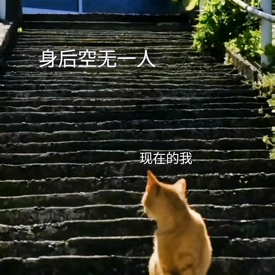 ꧔ꦿ᭄故事与你💞ღ᭄