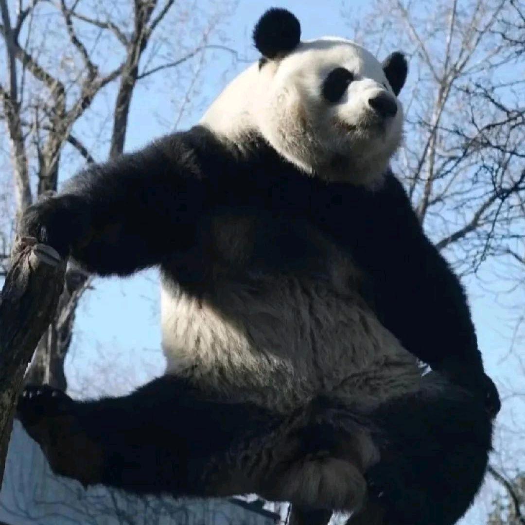 西北偏北 North By Northwest