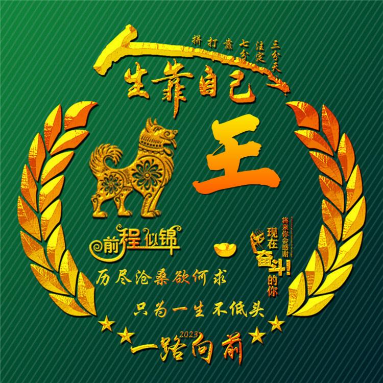 王府二少