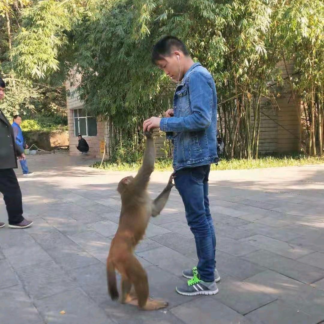 一不小心看见你。