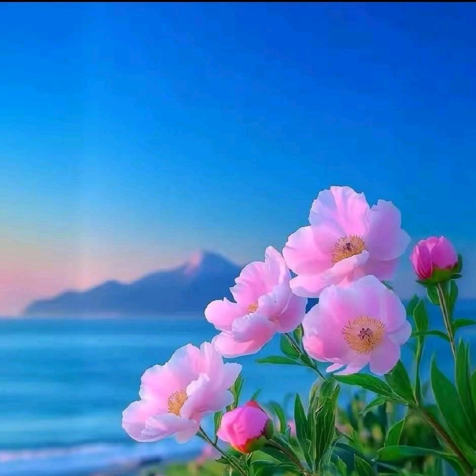 顺心如意