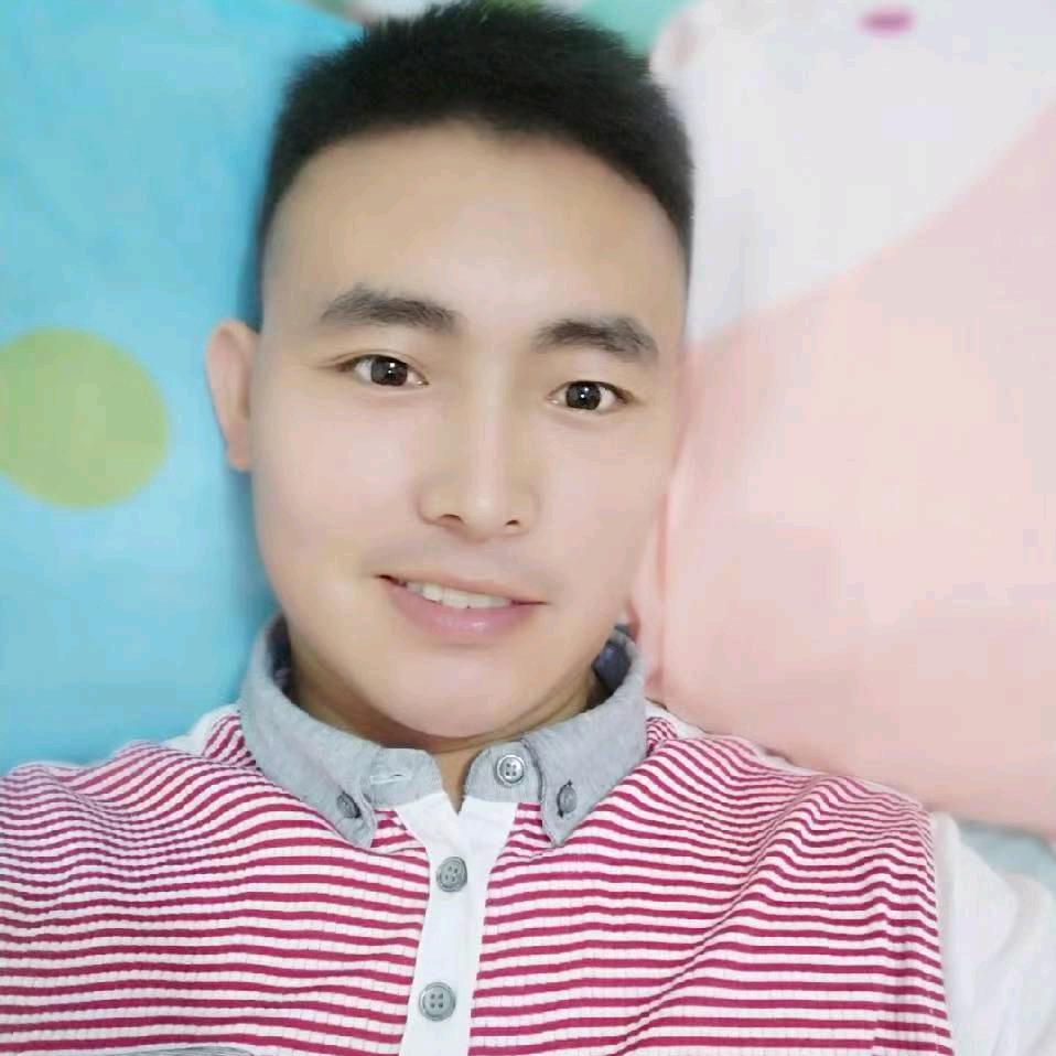 宏宇菲扬
