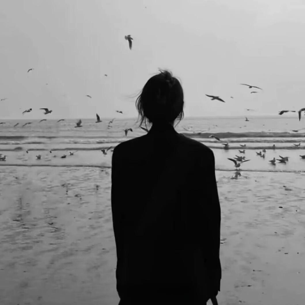 𝙁𝙧𝙚𝙚𝙄𝙮.