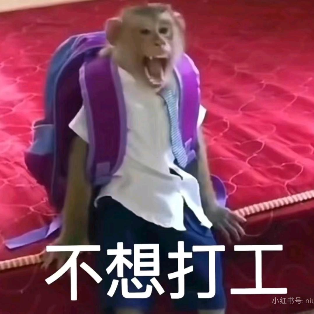 时光煮雨我煮鱼