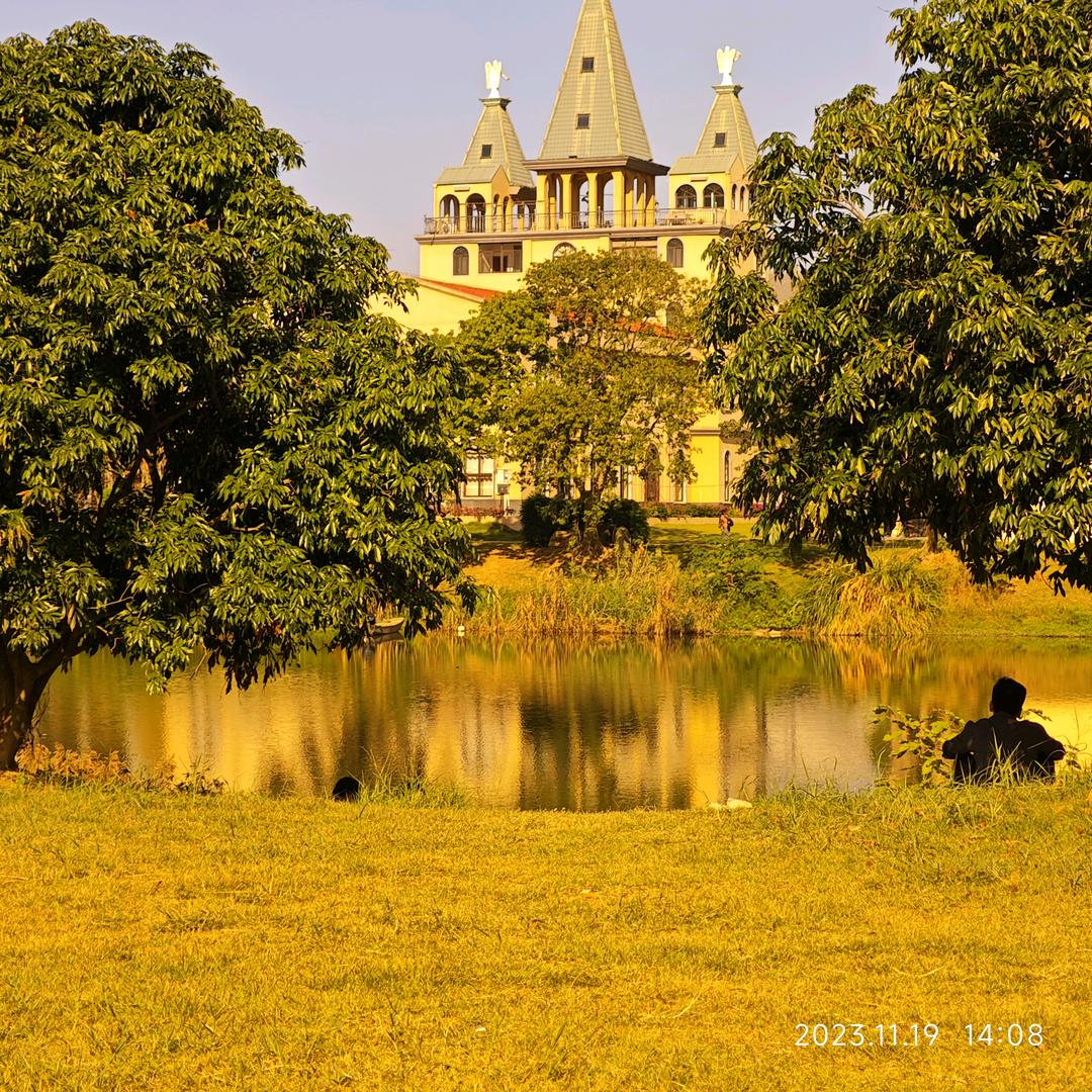 🌻樱桃🍒（一只咸鱼）