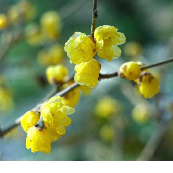未