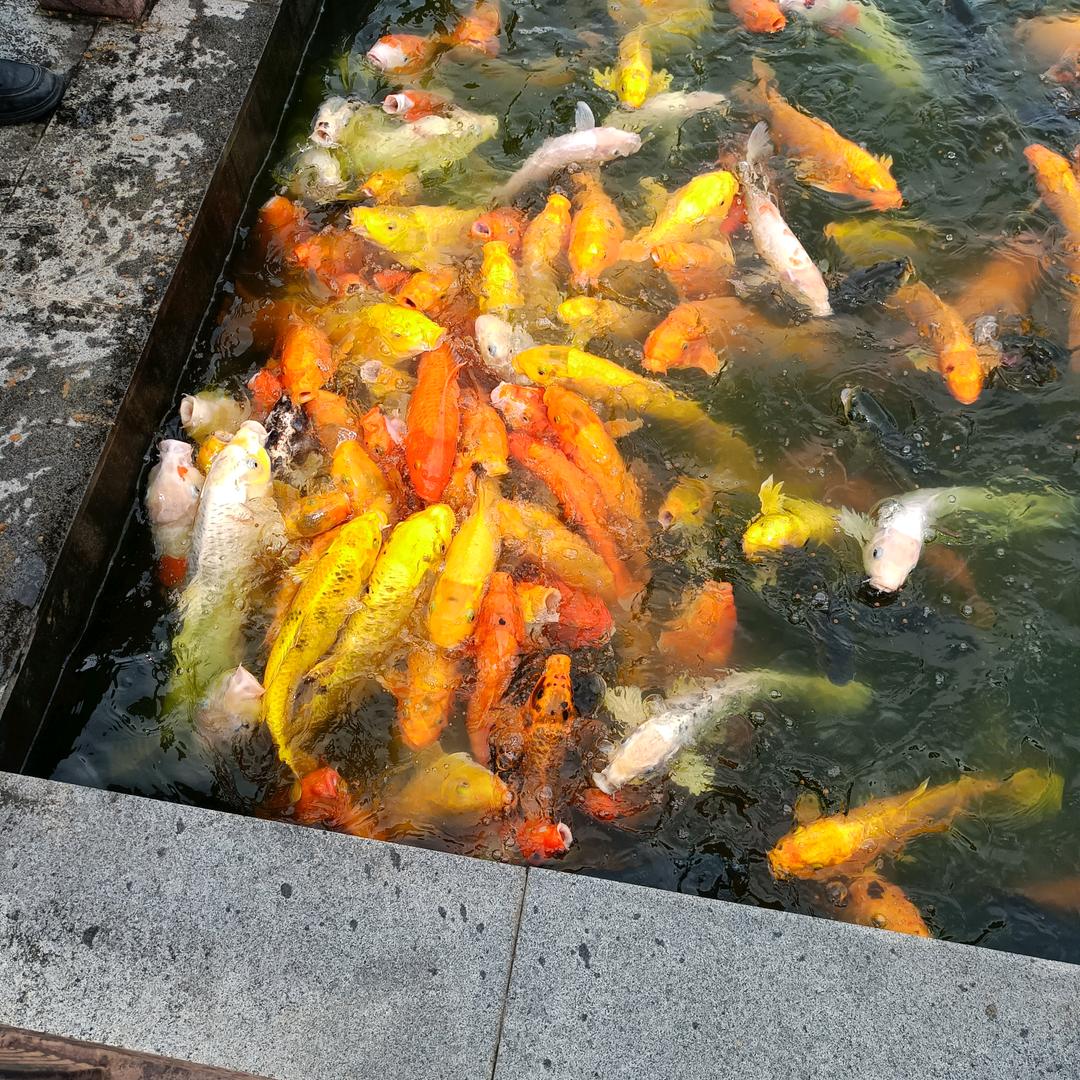 漂洋过海