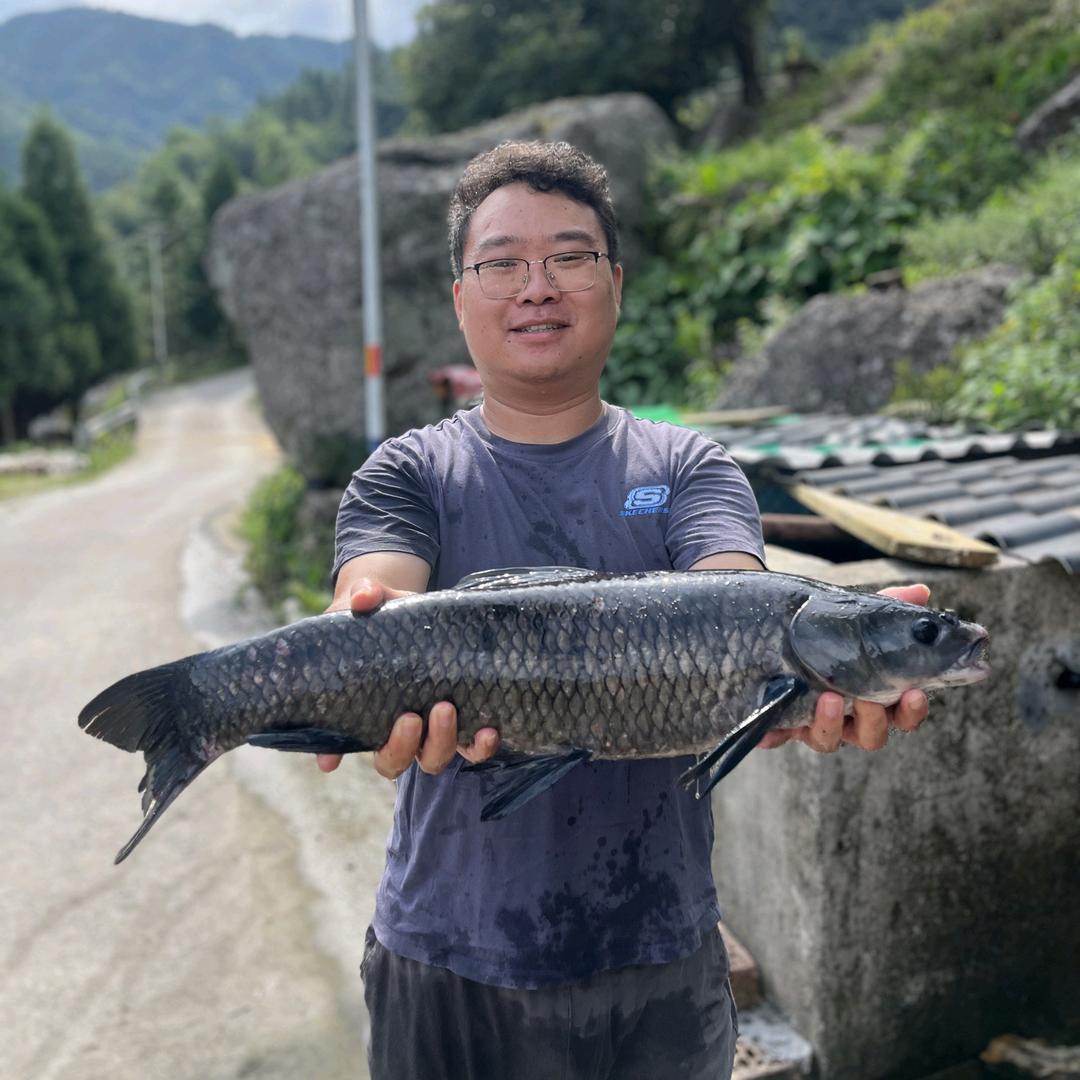 贤哥生态鱼