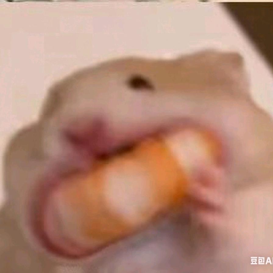 一颗粒🐹