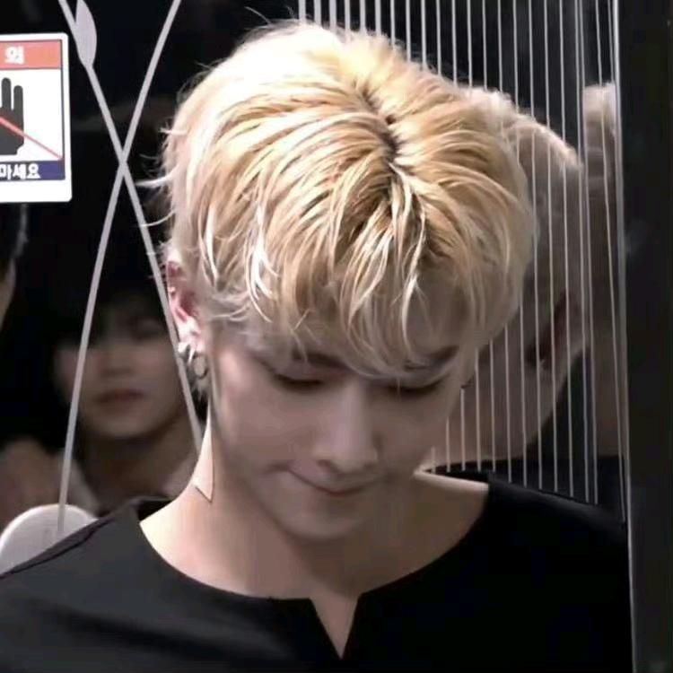 世上只有猫狗好