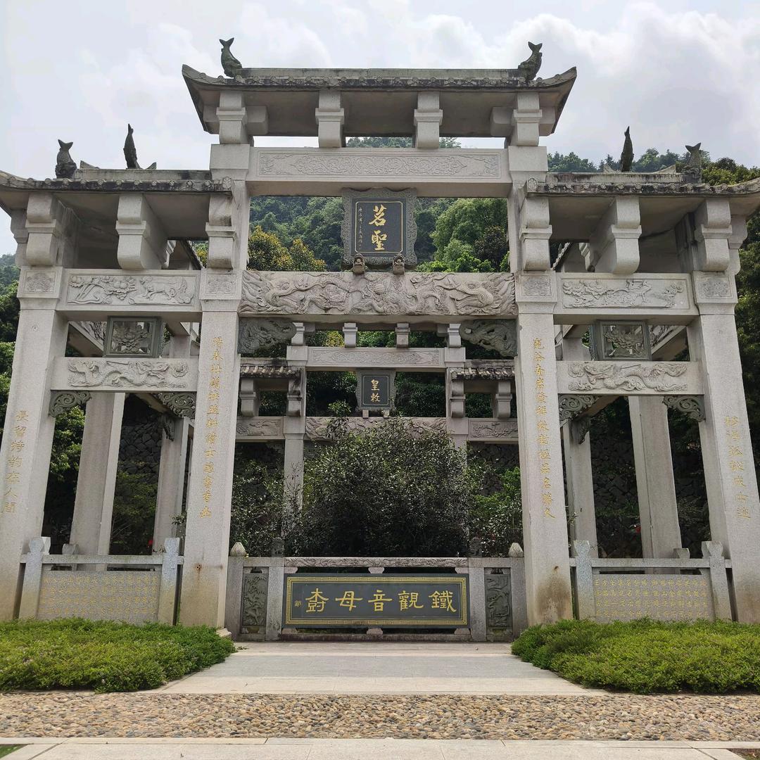 安溪林哥【铁观音茶园】