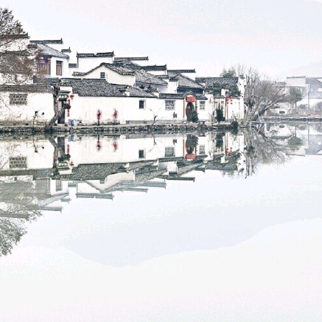 南城花落