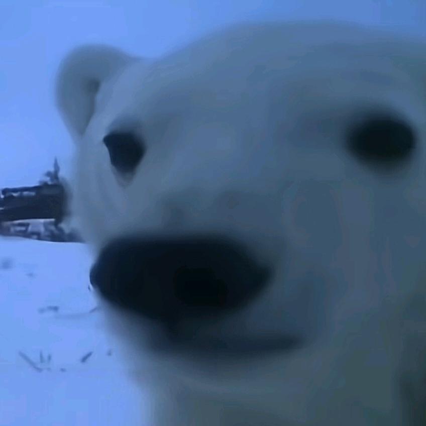 ˙˘˙