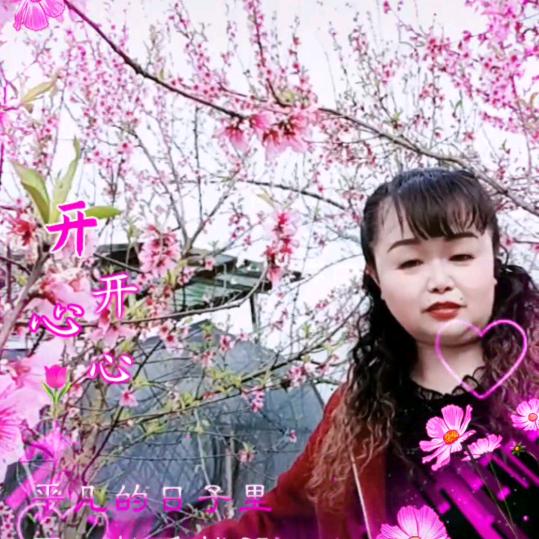 海南之心❤️