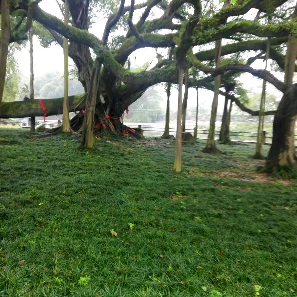 @山哥