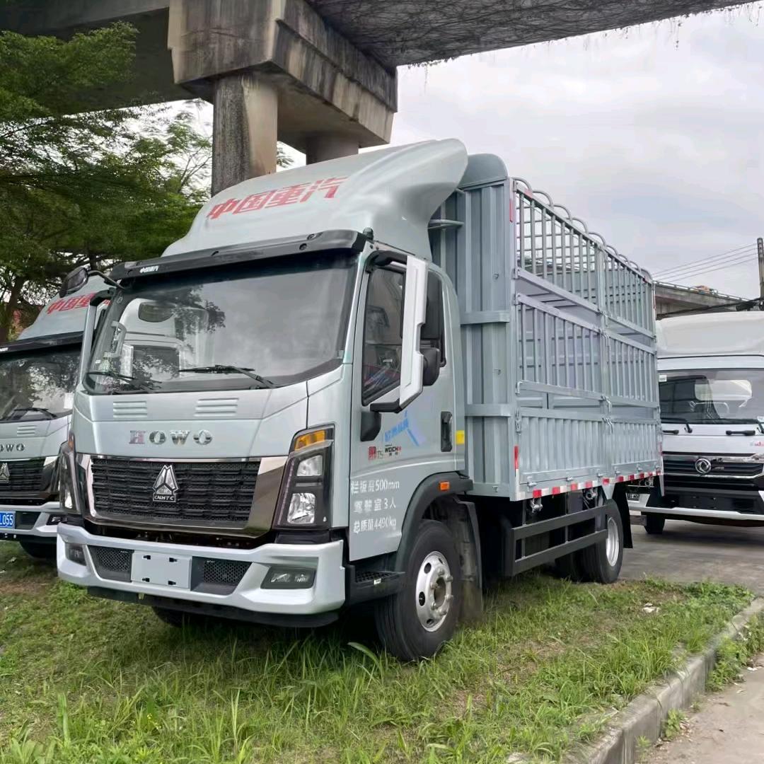 东莞金丰姚钱树