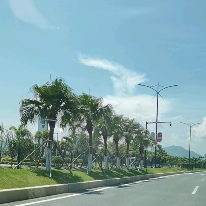 斌哥海航
