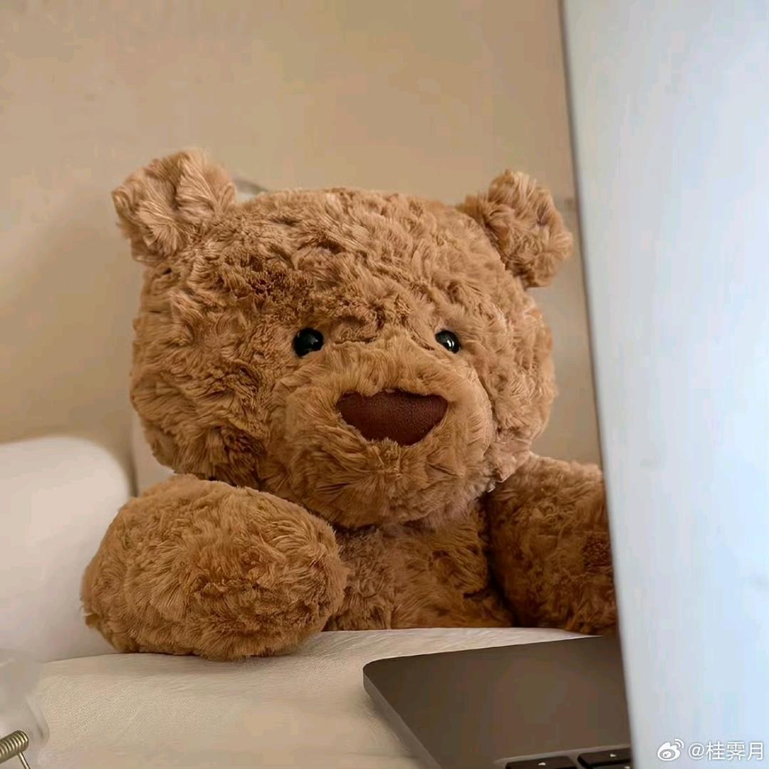 大可（小说书虫）