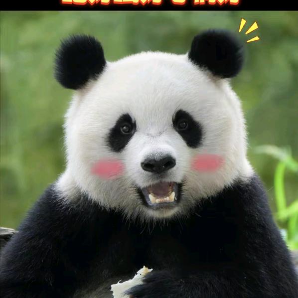 年年有余，岁岁平安