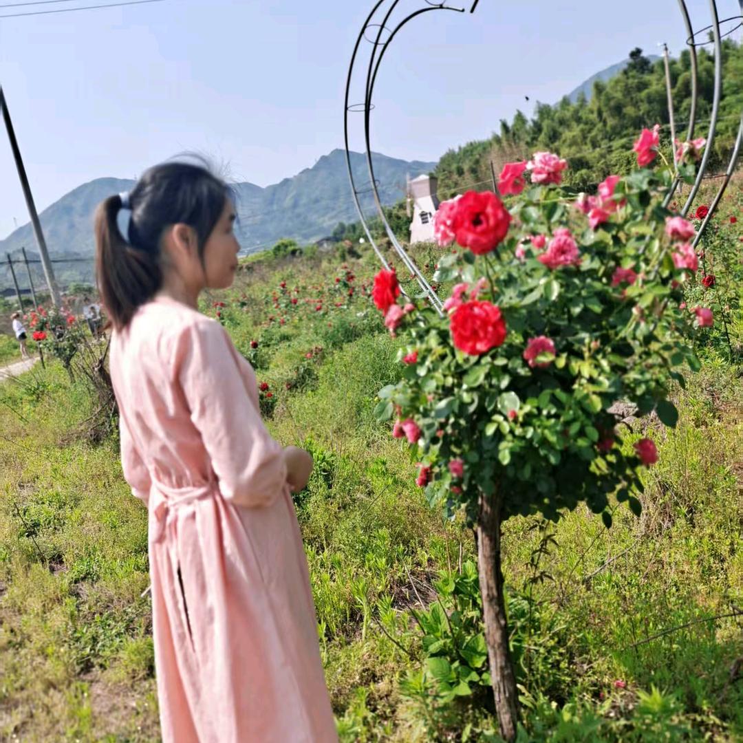 曾经的美好