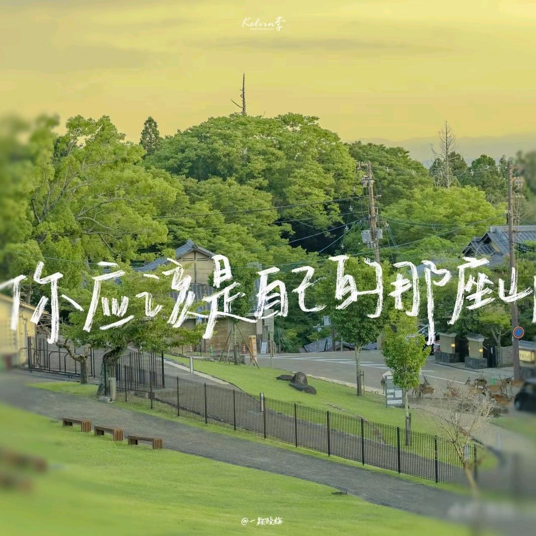 你应该是自己的那座山