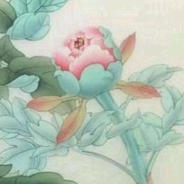 上洵