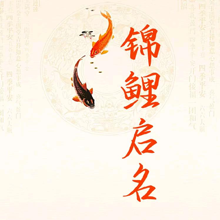 锦鲤启名