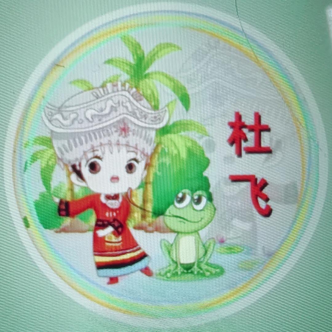 杜飞