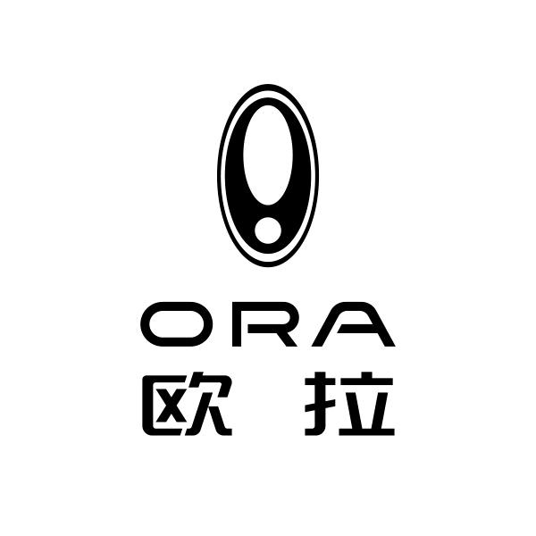 欧拉汽车（云浮新力店）
