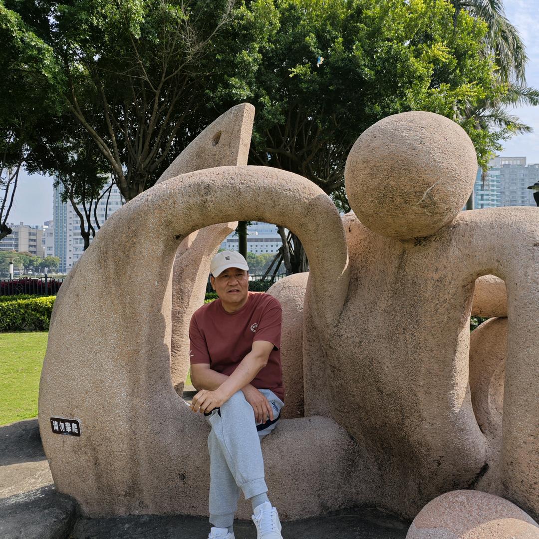 白桦林。