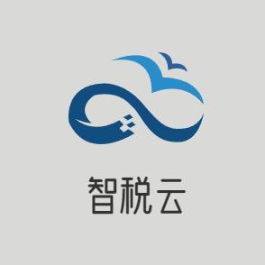 智税云科技