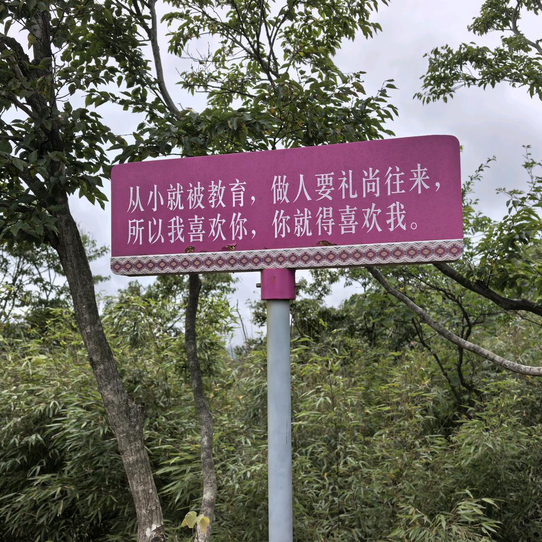 情已逝